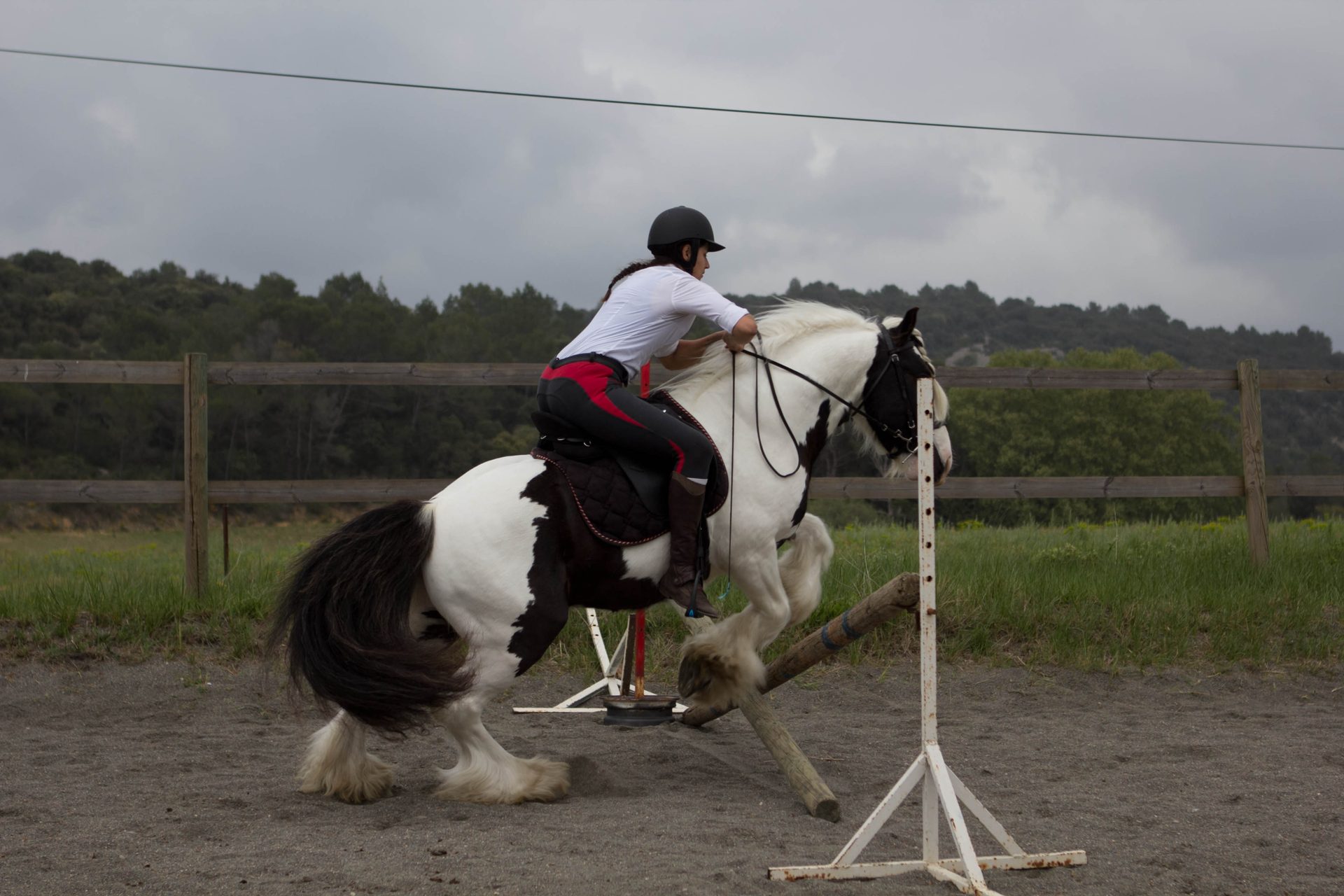 Archy à Aniane 2015