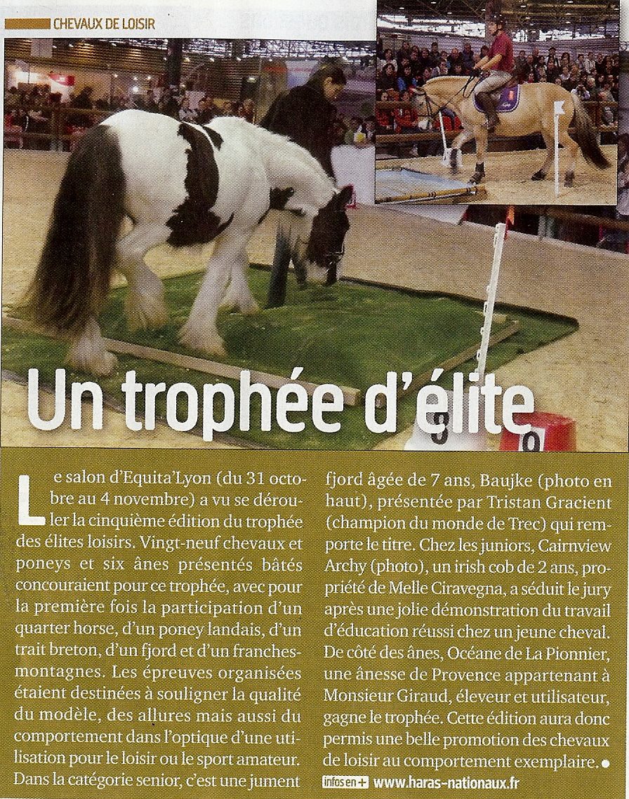 Archy à Equita Lyon 2012